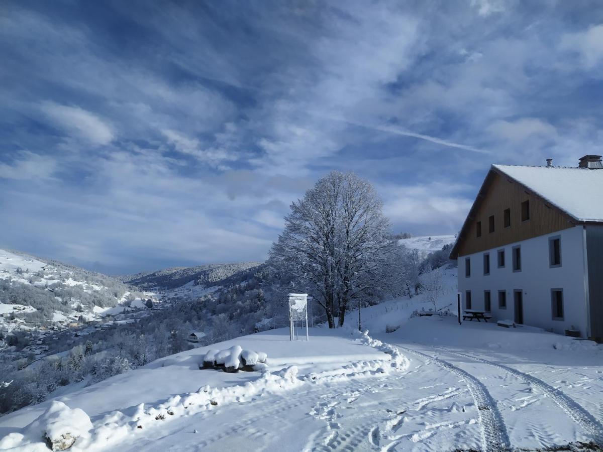 Gites De Moyenmont 라브레세 외부 사진