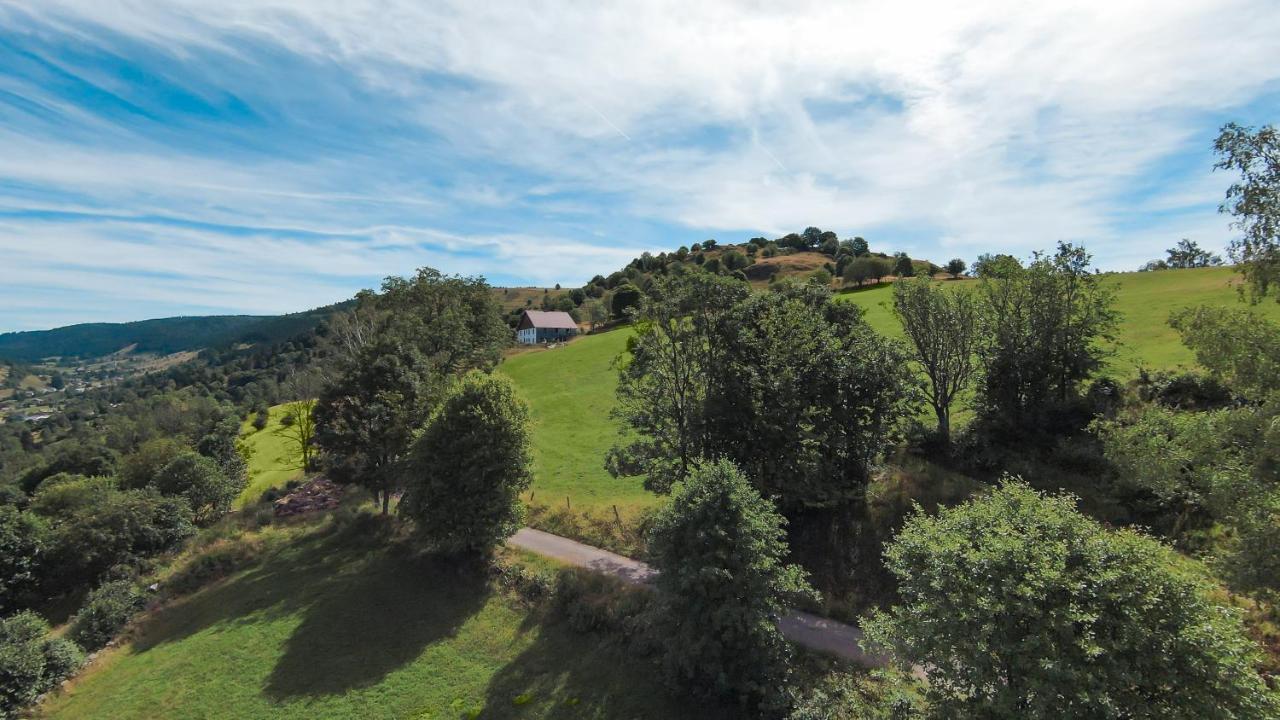 Gites De Moyenmont 라브레세 외부 사진